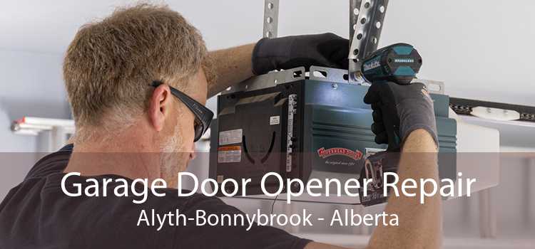Garage Door Opener Repair Alyth-Bonnybrook - Alberta