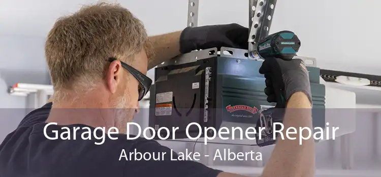 Garage Door Opener Repair Arbour Lake - Alberta