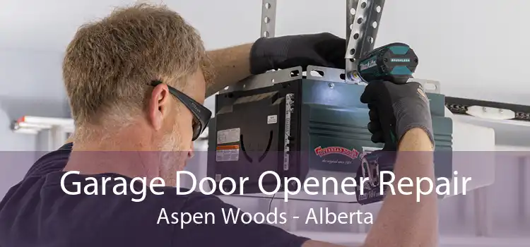 Garage Door Opener Repair Aspen Woods - Alberta