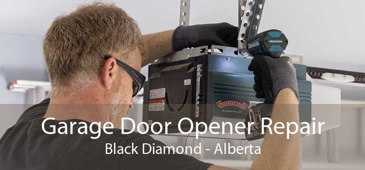 Garage Door Opener Repair Black Diamond - Alberta