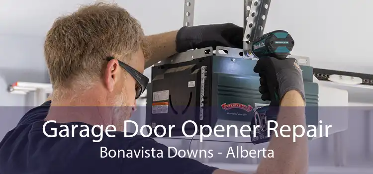 Garage Door Opener Repair Bonavista Downs - Alberta