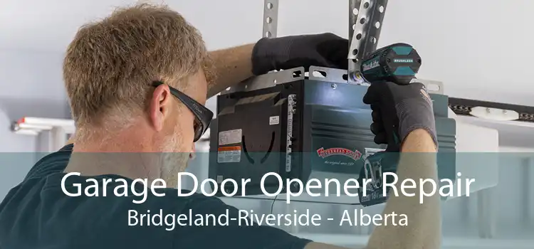 Garage Door Opener Repair Bridgeland-Riverside - Alberta