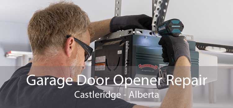 Garage Door Opener Repair Castleridge - Alberta