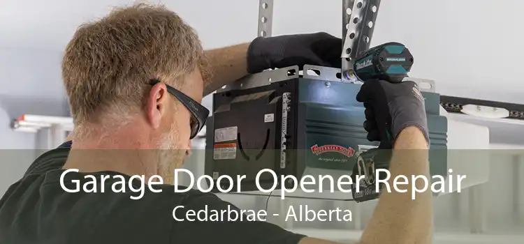 Garage Door Opener Repair Cedarbrae - Alberta