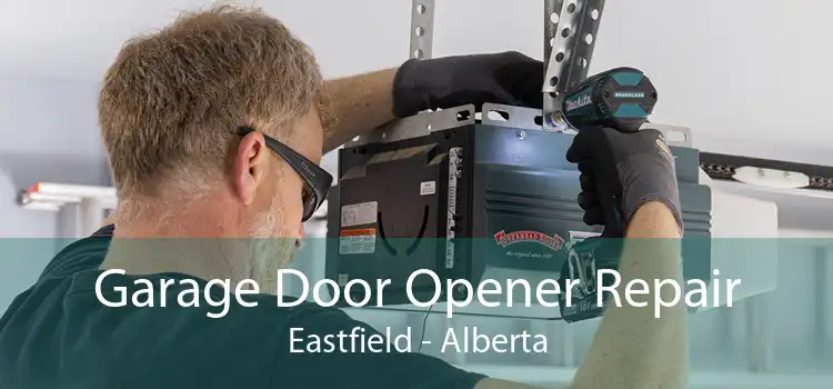 Garage Door Opener Repair Eastfield - Alberta