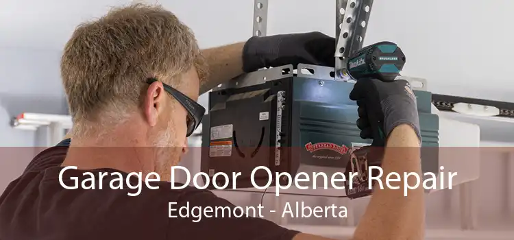 Garage Door Opener Repair Edgemont - Alberta