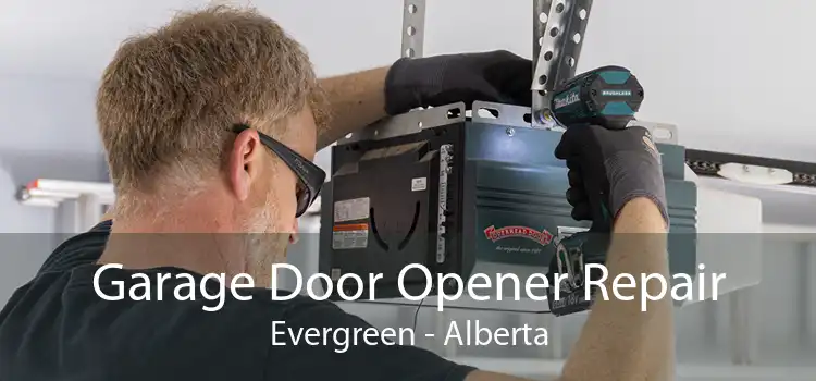 Garage Door Opener Repair Evergreen - Alberta