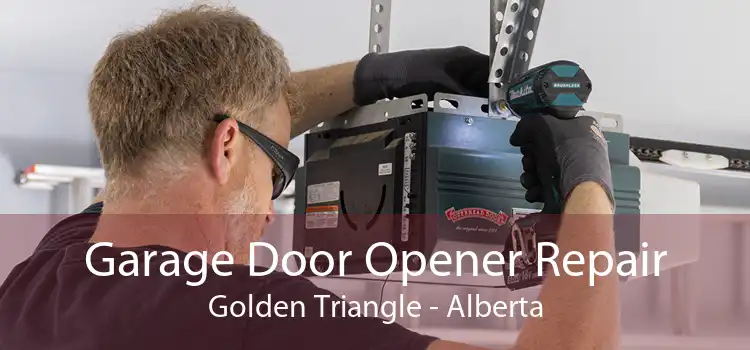 Garage Door Opener Repair Golden Triangle - Alberta