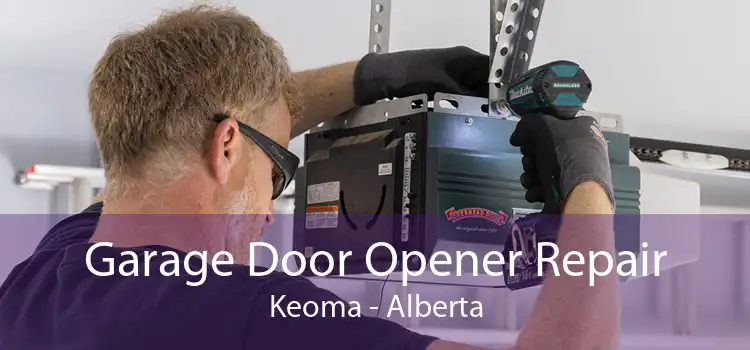 Garage Door Opener Repair Keoma - Alberta