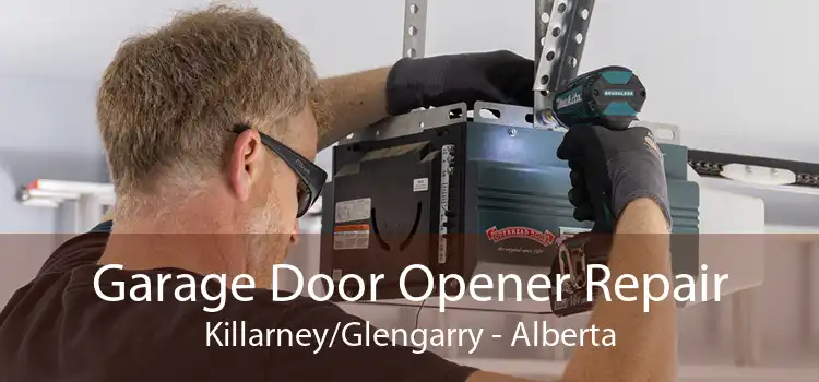 Garage Door Opener Repair Killarney/Glengarry - Alberta