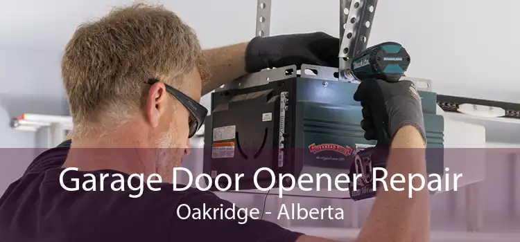 Garage Door Opener Repair Oakridge - Alberta