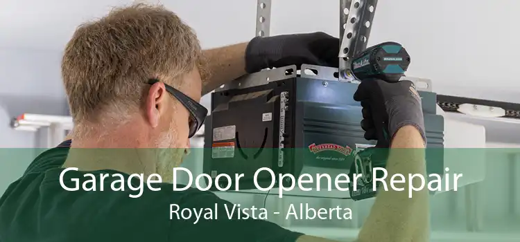Garage Door Opener Repair Royal Vista - Alberta