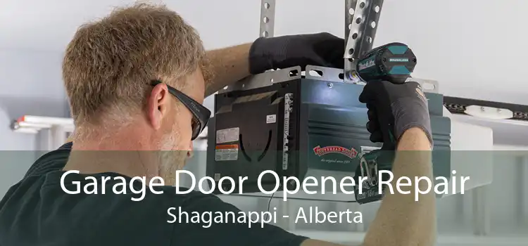 Garage Door Opener Repair Shaganappi - Alberta