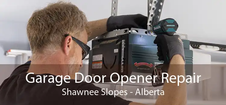 Garage Door Opener Repair Shawnee Slopes - Alberta