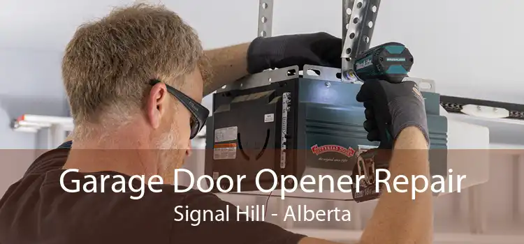Garage Door Opener Repair Signal Hill - Alberta