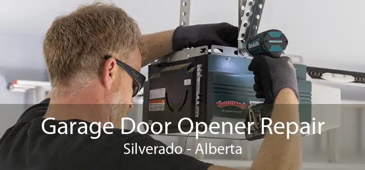 Garage Door Opener Repair Silverado - Alberta