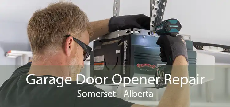 Garage Door Opener Repair Somerset - Alberta