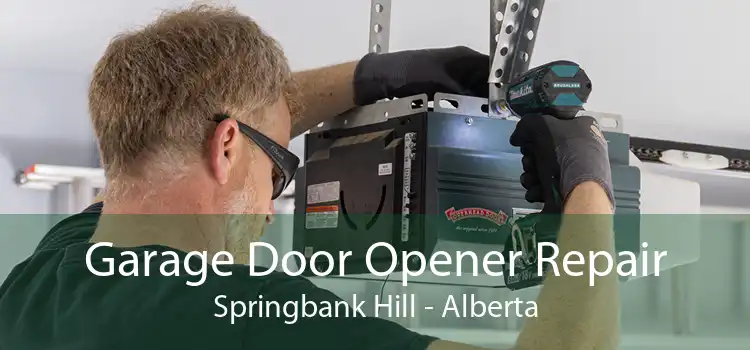 Garage Door Opener Repair Springbank Hill - Alberta