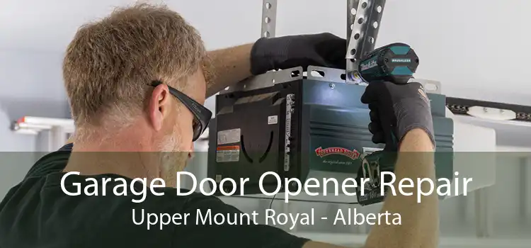 Garage Door Opener Repair Upper Mount Royal - Alberta