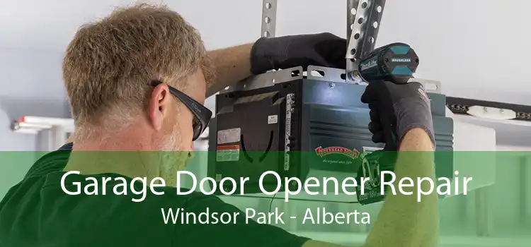 Garage Door Opener Repair Windsor Park - Alberta