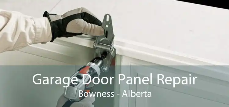 Garage Door Panel Repair Bowness - Alberta