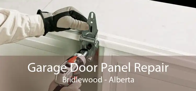 Garage Door Panel Repair Bridlewood - Alberta