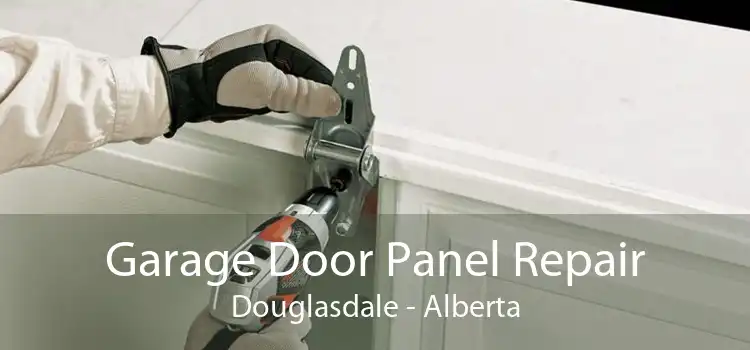 Garage Door Panel Repair Douglasdale - Alberta