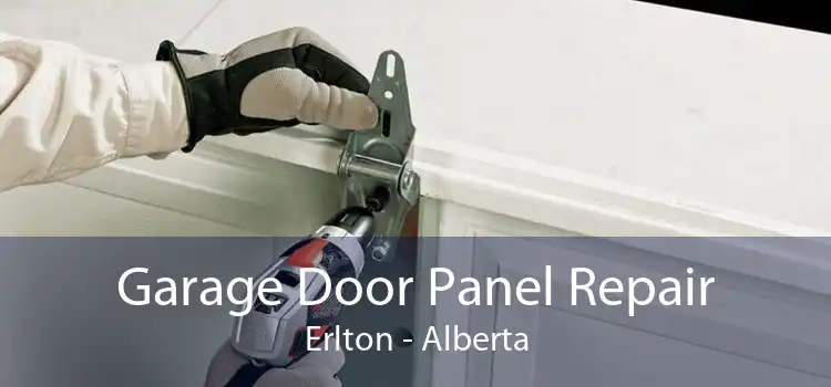 Garage Door Panel Repair Erlton - Alberta