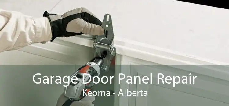 Garage Door Panel Repair Keoma - Alberta