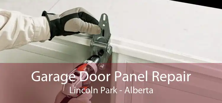 Garage Door Panel Repair Lincoln Park - Alberta