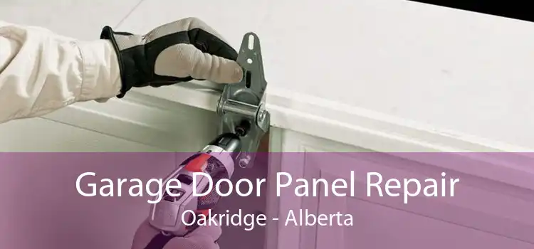 Garage Door Panel Repair Oakridge - Alberta