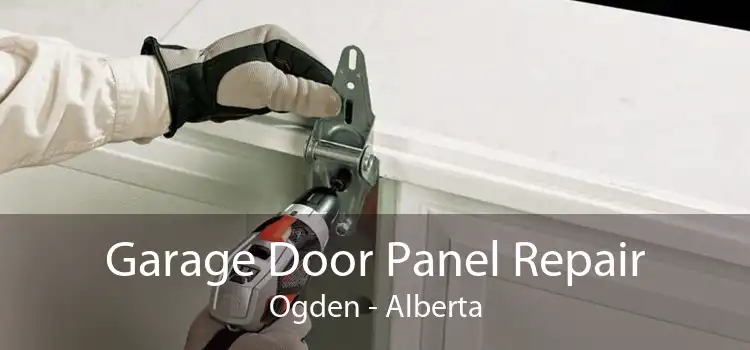 Garage Door Panel Repair Ogden - Alberta