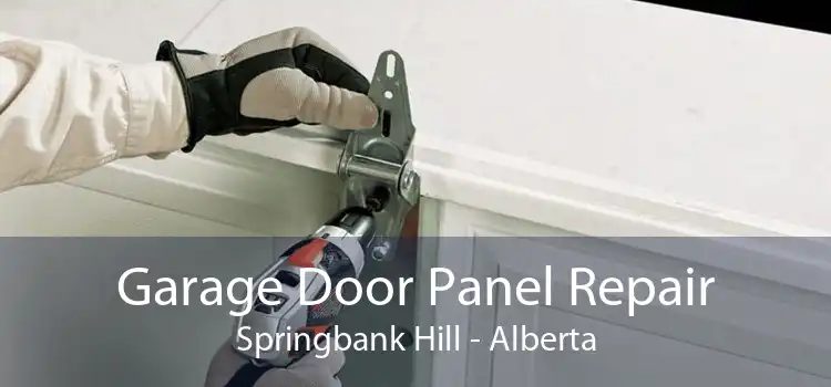 Garage Door Panel Repair Springbank Hill - Alberta