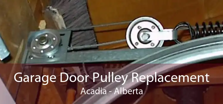 Garage Door Pulley Replacement Acadia - Alberta