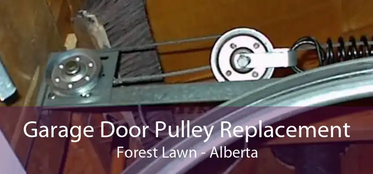 Garage Door Pulley Replacement Forest Lawn - Alberta