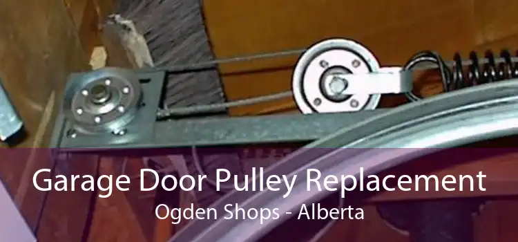 Garage Door Pulley Replacement Ogden Shops - Alberta