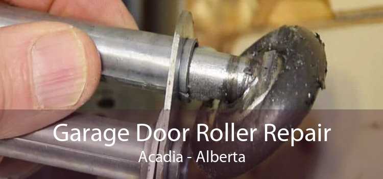 Garage Door Roller Repair Acadia - Alberta
