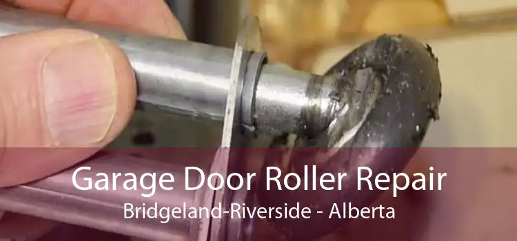 Garage Door Roller Repair Bridgeland-Riverside - Alberta