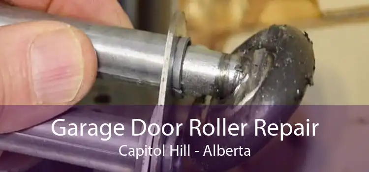 Garage Door Roller Repair Capitol Hill - Alberta
