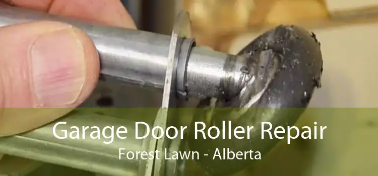 Garage Door Roller Repair Forest Lawn - Alberta