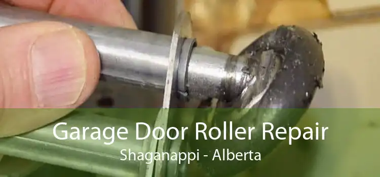 Garage Door Roller Repair Shaganappi - Alberta