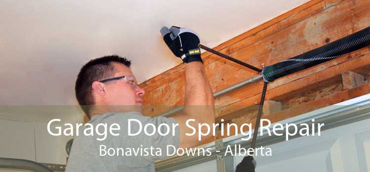 Garage Door Spring Repair Bonavista Downs - Alberta