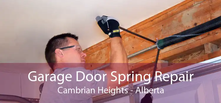 Garage Door Spring Repair Cambrian Heights - Alberta