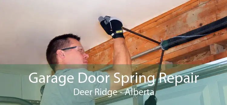 Garage Door Spring Repair Deer Ridge - Alberta