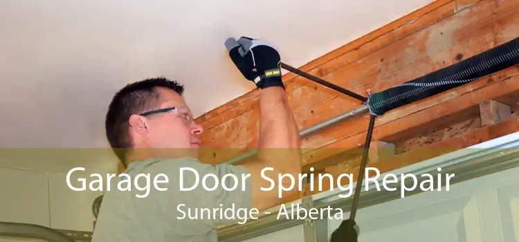 Garage Door Spring Repair Sunridge - Alberta