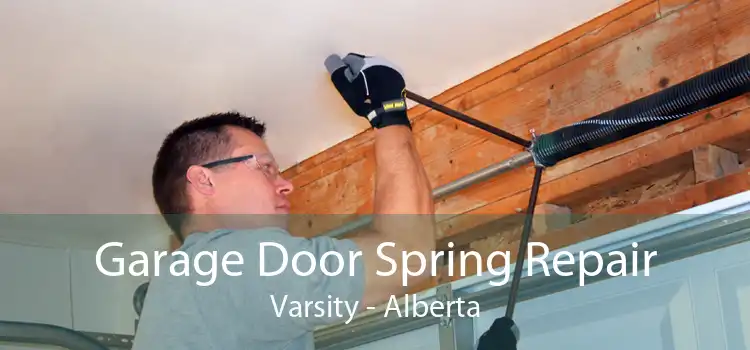 Garage Door Spring Repair Varsity - Alberta