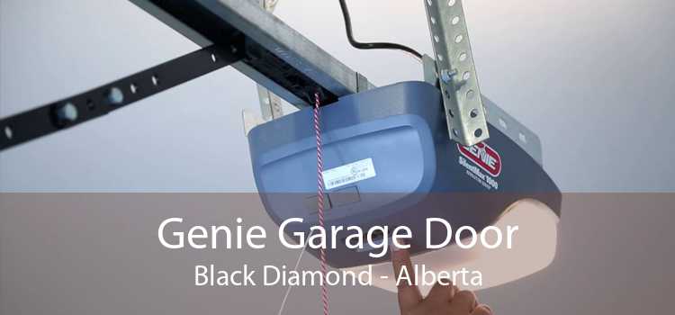 Genie Garage Door Black Diamond - Alberta