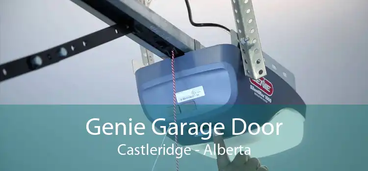 Genie Garage Door Castleridge - Alberta