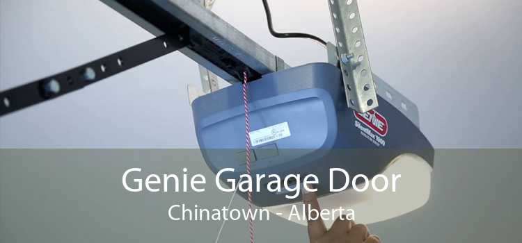 Genie Garage Door Chinatown - Alberta