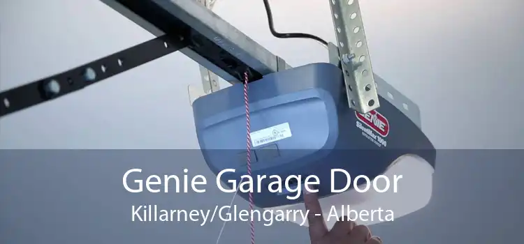 Genie Garage Door Killarney/Glengarry - Alberta